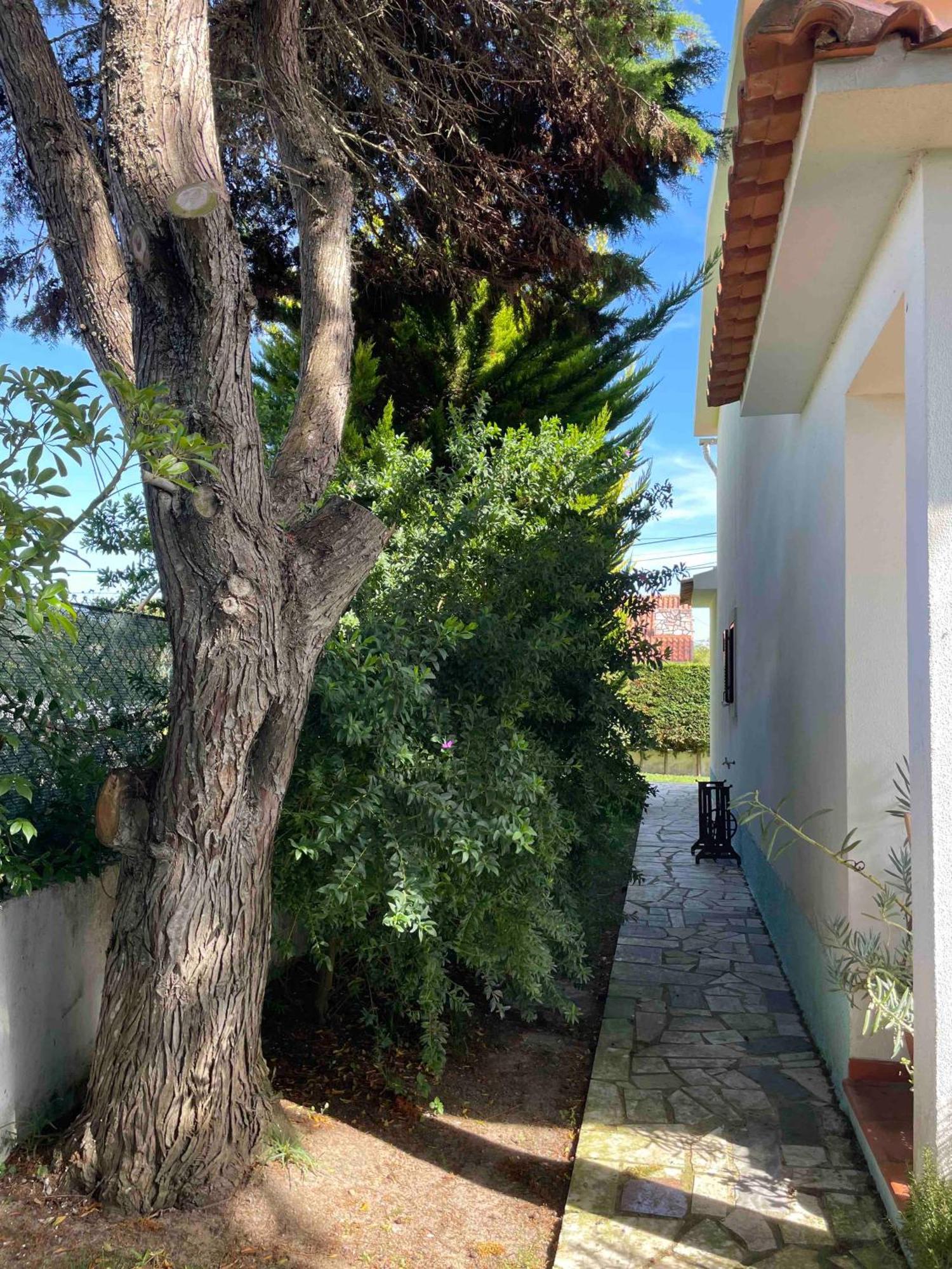 Santa Cruz Beach House Areias Dış mekan fotoğraf